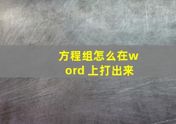 方程组怎么在word 上打出来